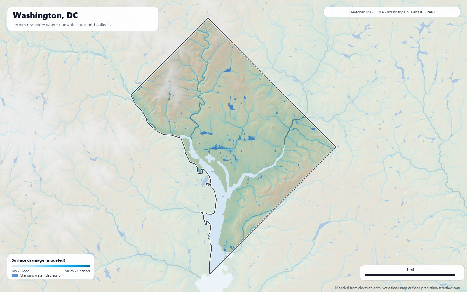 Terrain drainage map of Washington, DC: modeled paths where rainwater runs and collects, from USGS 3DEP elevation data, with the city boundary
