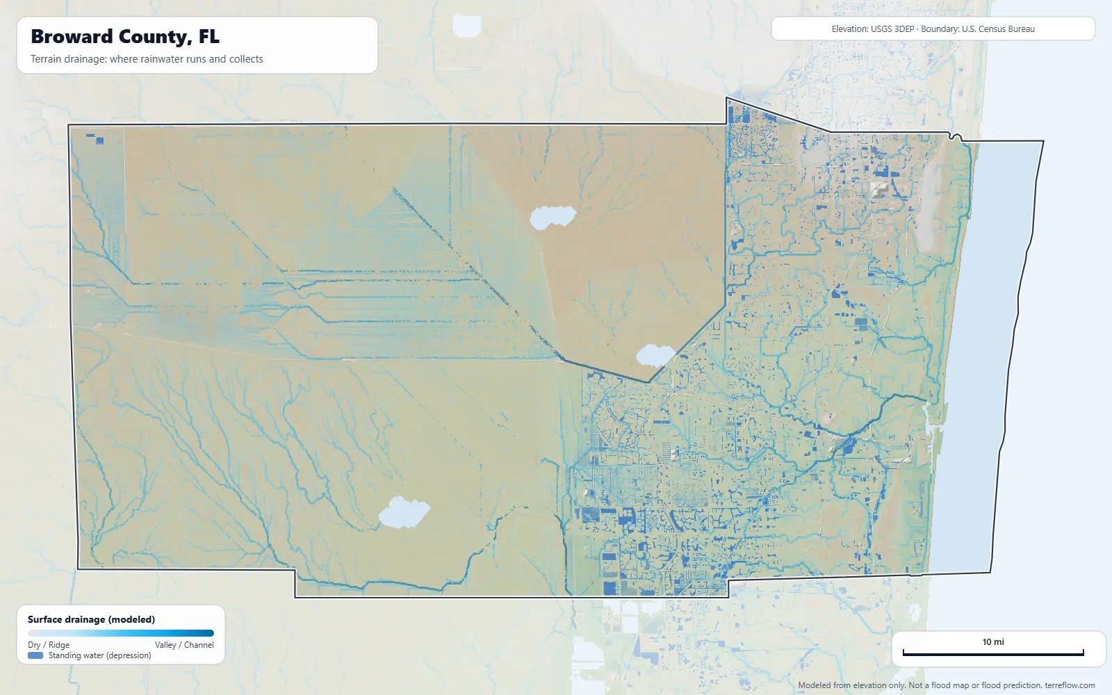 Terrain drainage map of Broward County, FL: modeled paths where rainwater runs and collects, from USGS 3DEP elevation data, with the county boundary