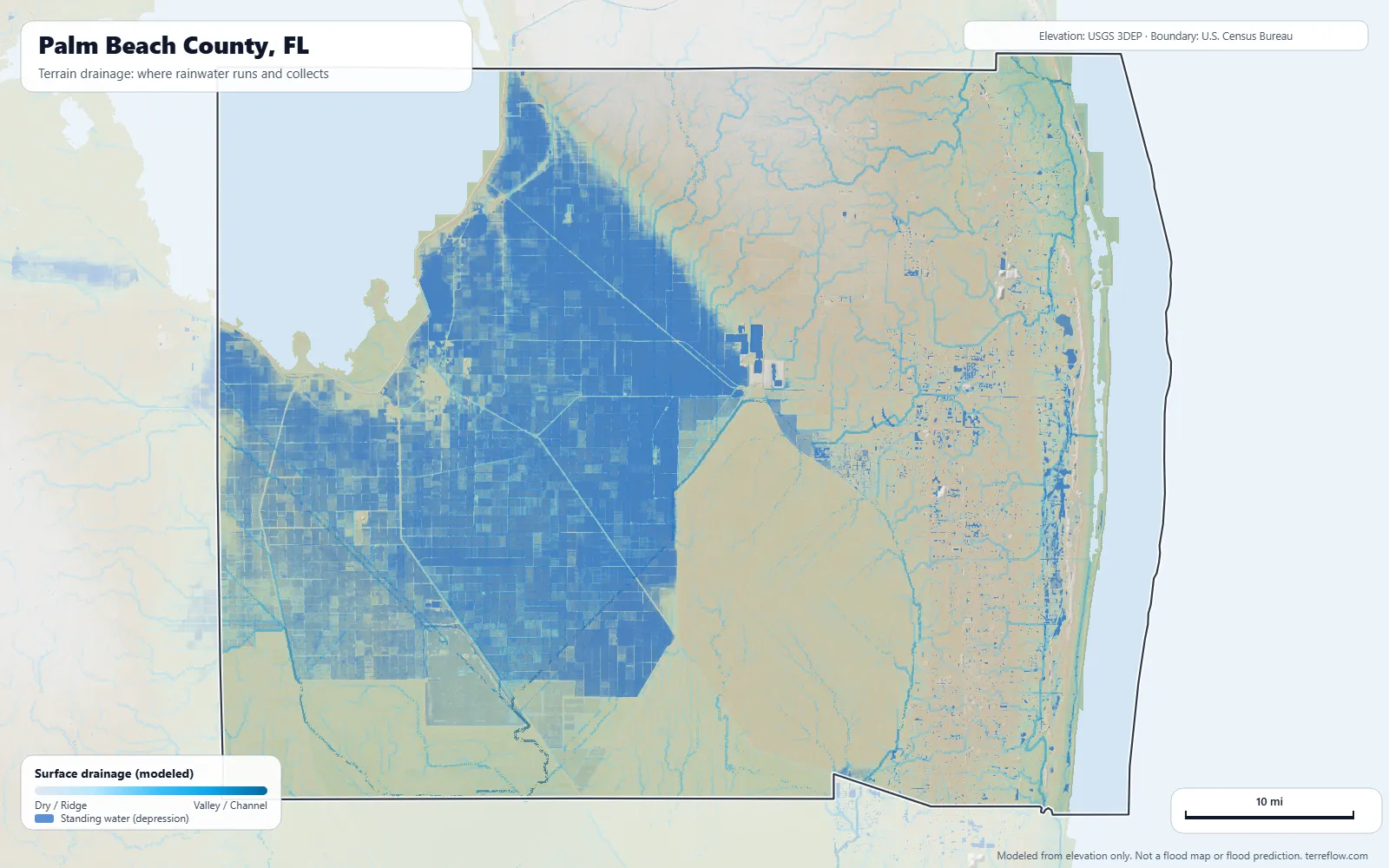 Terrain drainage map of Palm Beach County, FL: modeled paths where rainwater runs and collects, from USGS 3DEP elevation data, with the county boundary