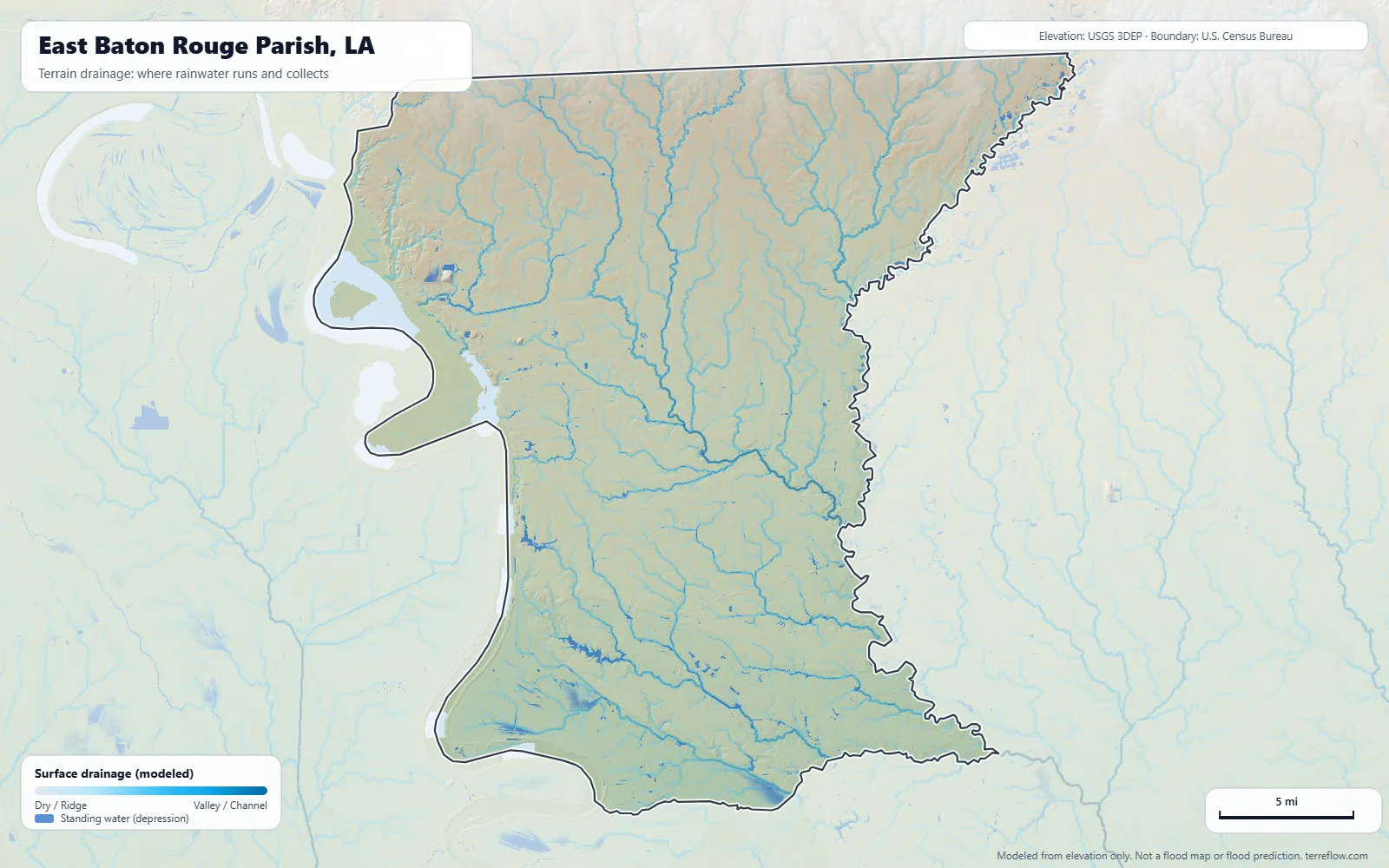 Terrain drainage map of East Baton Rouge Parish, LA: modeled paths where rainwater runs and collects, from USGS 3DEP elevation data, with the parish boundary