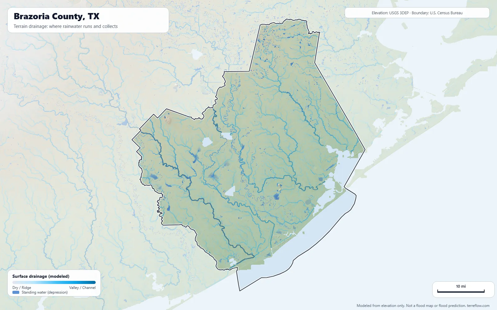 Terrain drainage map of Brazoria County, TX: modeled paths where rainwater runs and collects, from USGS 3DEP elevation data, with the county boundary