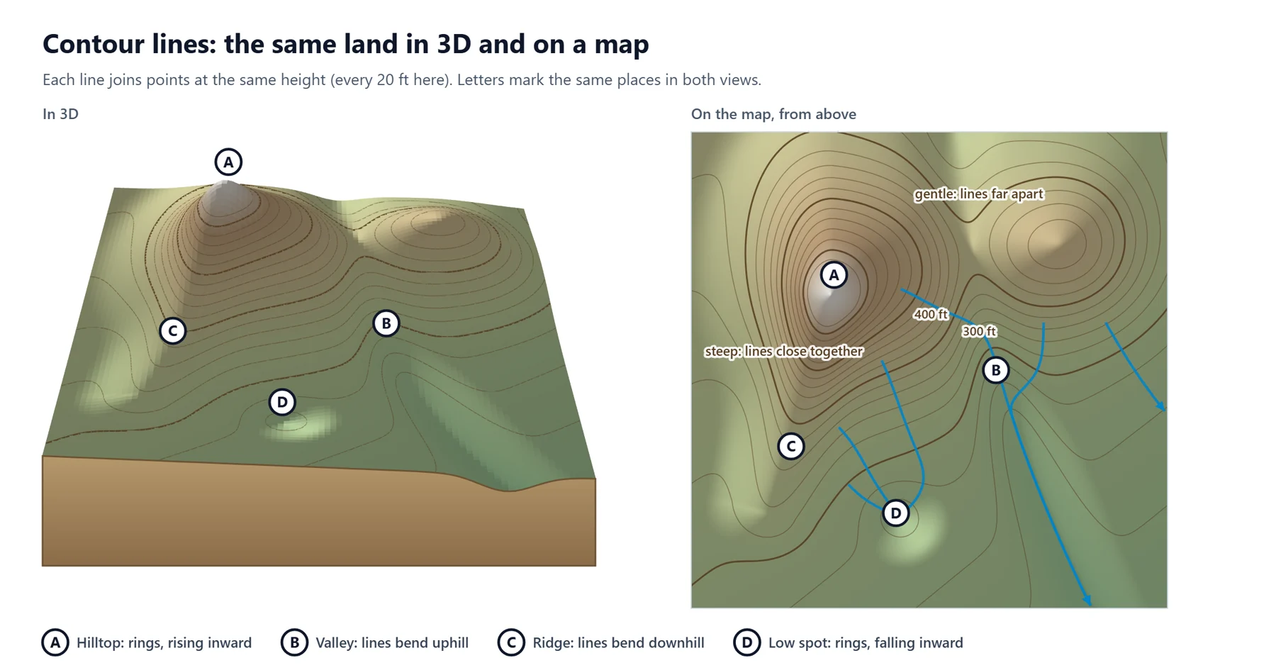 An invented landscape drawn twice. Left, as a 3D block with contour lines on its surface; right, as a contour map seen from above. A marks the hilltop, where contour rings rise inward. B marks a valley, where contour lines bend uphill. C marks a ridge, where lines bend downhill. D marks a low spot, a ring whose inside is lower. Blue arrows show water running downhill across the contour lines.